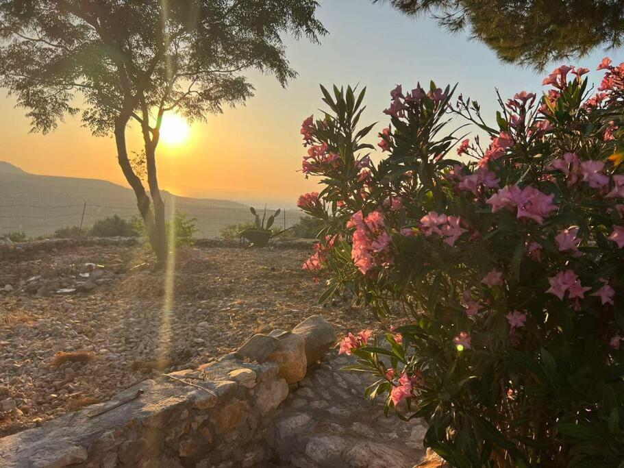 Λαγκάδι Μάνης Daire Koíta Dış mekan fotoğraf